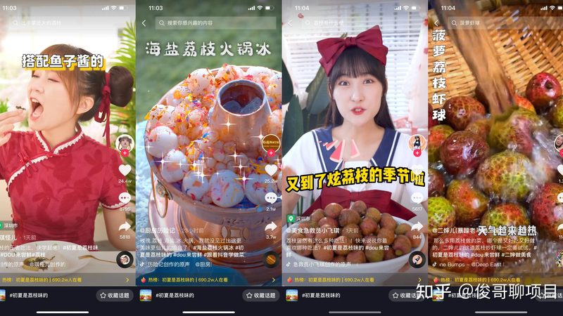 酒店马桶疏通器材质分类解析